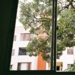 “Dalla finestra vedo…”: allenare lo sguardo dalla finestra di casa